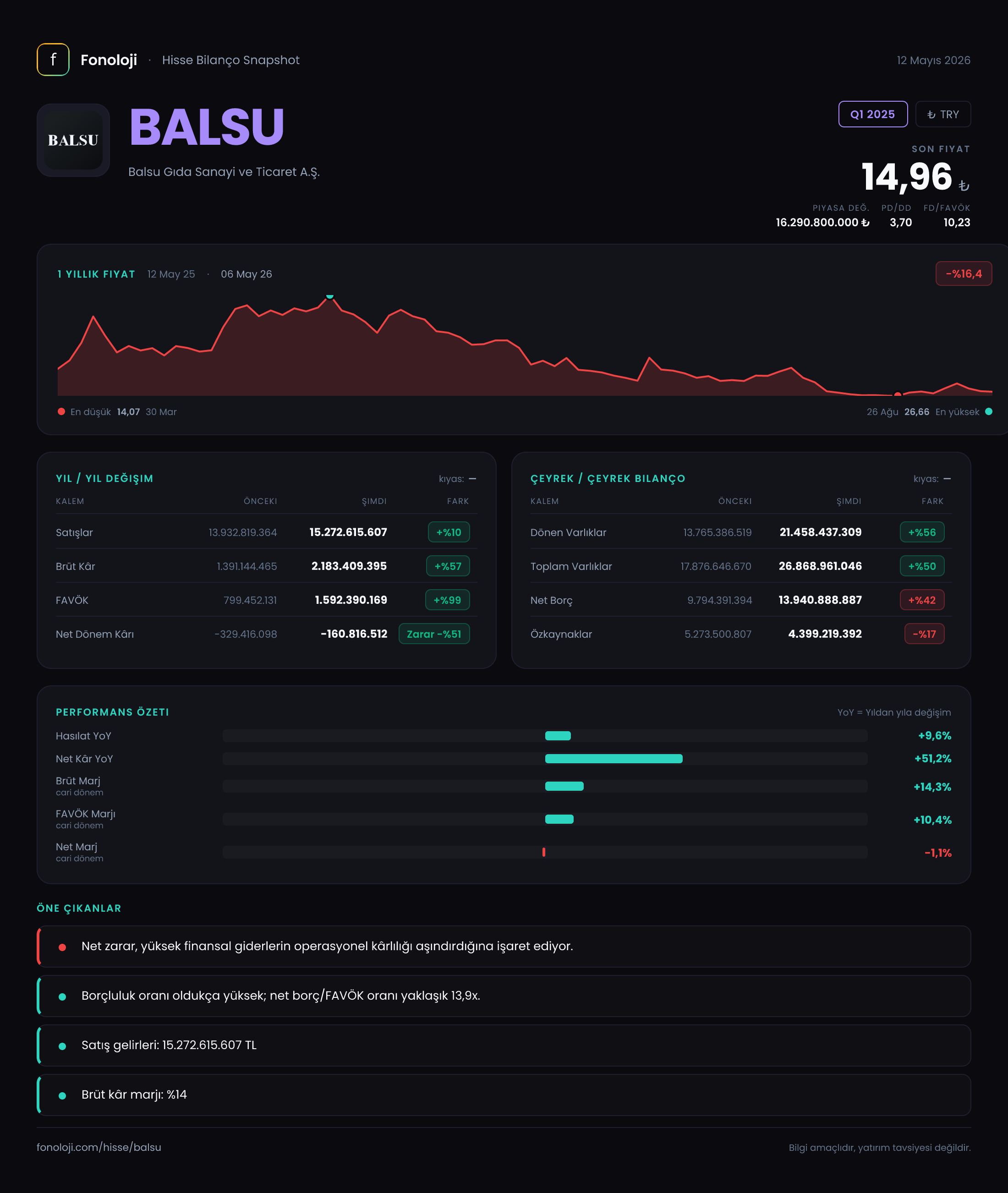 BALSU Q1 2025 finansal rapor