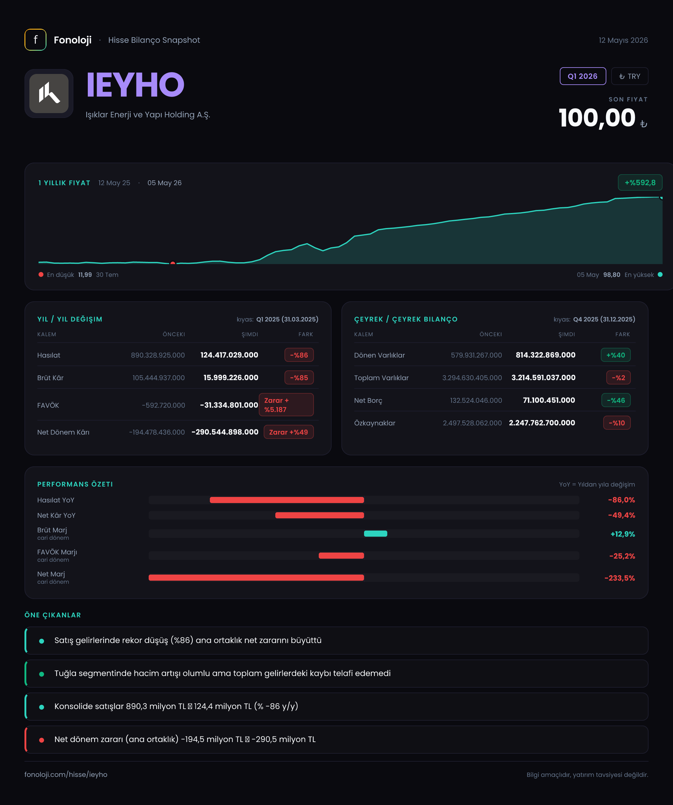 IEYHO Q1 2026 finansal rapor